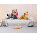 Divano confortevole Loiion Gatto Divano, Copridivano Mobili beige